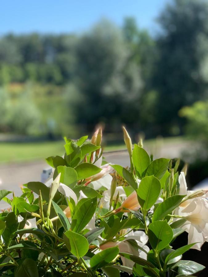 Cameracaffe Sul Lago Arezzo Exterior foto